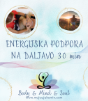 Energijska podpora