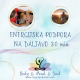 Energijska podpora